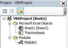VBA module in an Excel workbook.
