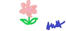 Picture of flower