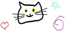 Picture of cat