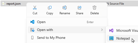 Find the JSON file called report