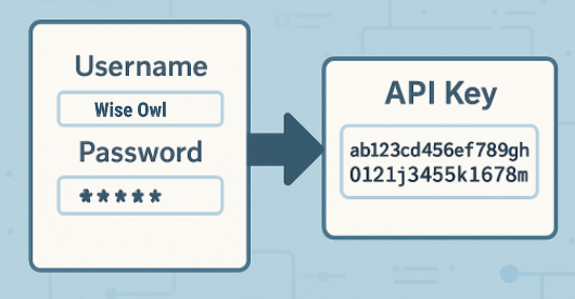 What is an API key