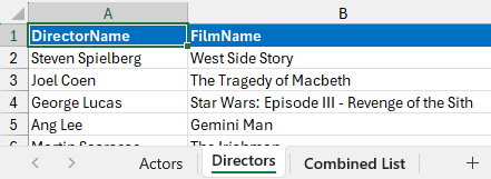 A list of directors in a Microsoft Excel worksheet
