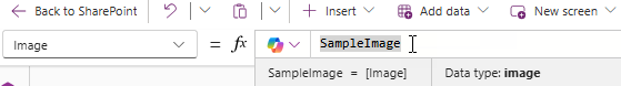 Editing the Image property