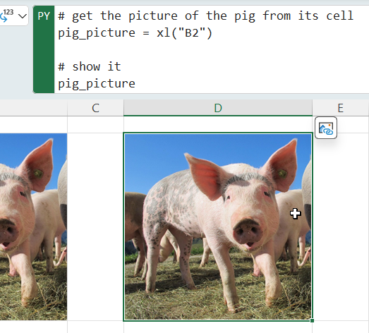 Getting a refernece to image Getting a refernece to image