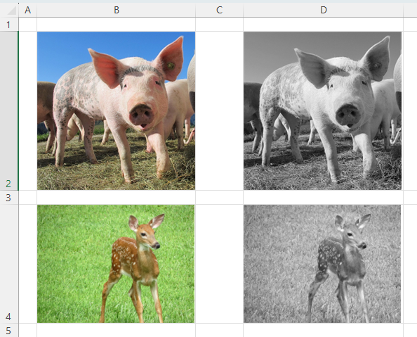 Copying image processing code Copying image processing code