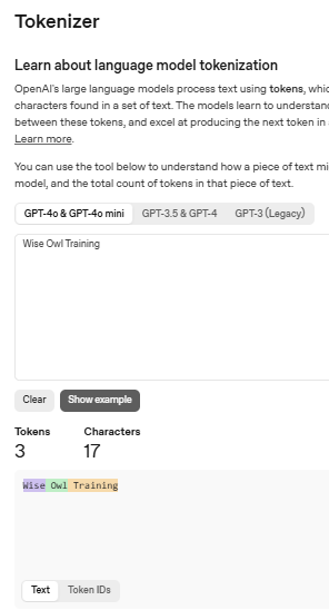 Using the tokenizer for Wise Owl Training text