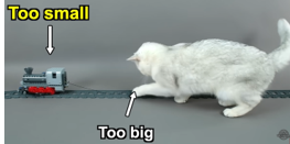 Cat too small for Lego train Cat too small for Lego train