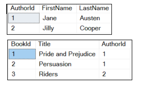 The two tables in the books databsae The two tables in the books databsae