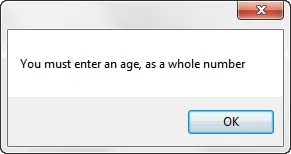 Visual Basic 2010 exercise - Form validation (image 3)