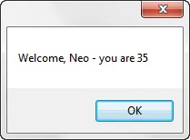 Visual Basic 2010 exercise - Form validation (image 2)