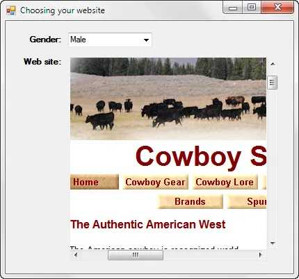 Visual Basic 2010 exercise - Form events (image 1)