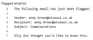 Email flag file text Email flag file text
