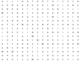 Word search of animals