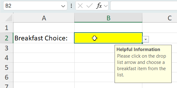 An example of a data validation user input message