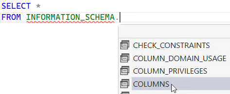 The information schema lets you search columns, tables, view and more