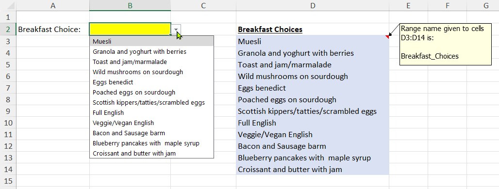 Using the Data Validation menu to restrict users to a drop down menu of options